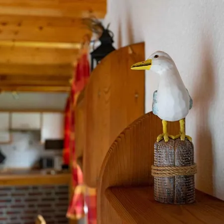 Дом отдыха Ferienhaus Steube_henkel 7 *